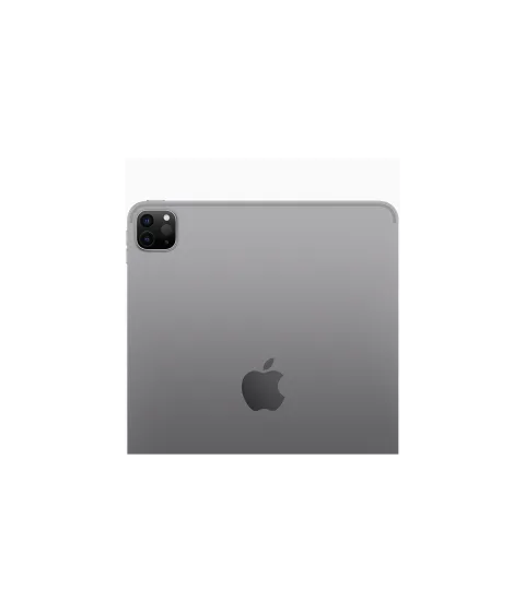 iPad Pro 11-inch (4th generation) in Space Gray, back view