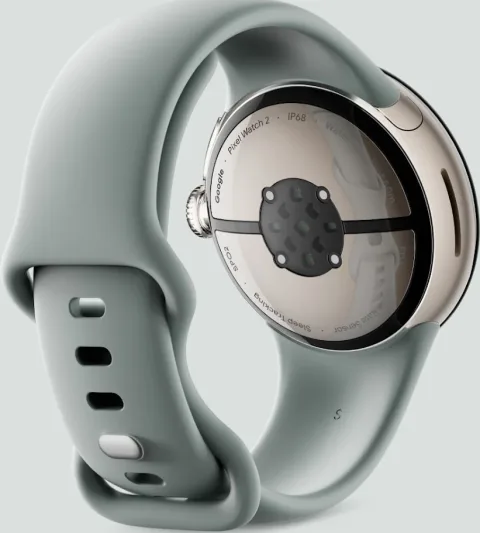 Google Pixel Watch 2 with Champagne Gold case and Hazel Active Band, back view
