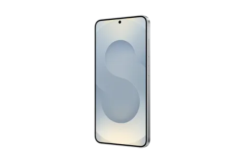 Galaxy S25 Rside Silver Shadow